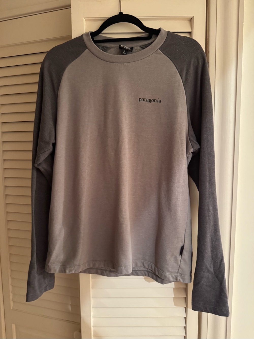 Patagonia Long-Sleeve Raglan Tee in Light Gray and Dark Gray